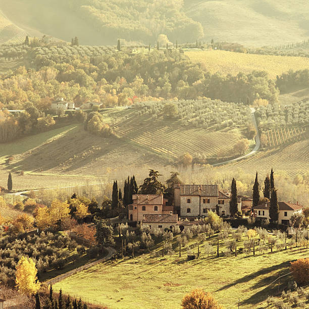 Italy. Tuscany hills and vineyards.