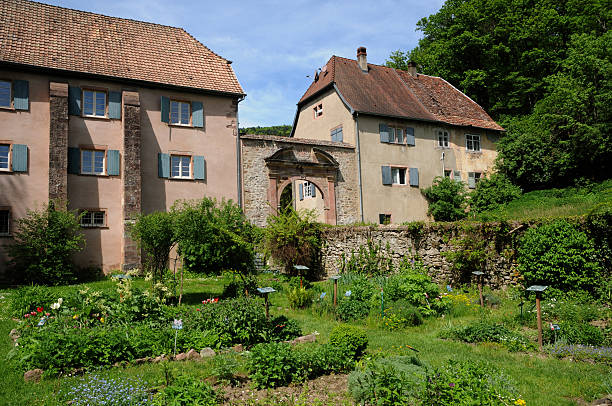 en france, le roman abbaye de murbach en alsace - murbach photos et images de collection