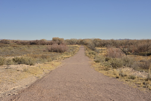 Historical wagon ruts locating the Oregon trail crossing of Wyoming at Sweetwater in western USA of North America.