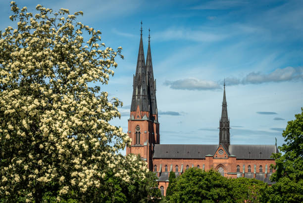 собор - uppsala cathedral стоковые фото и изображения