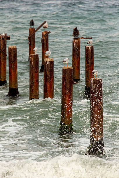 pier en el agua - foto de stock