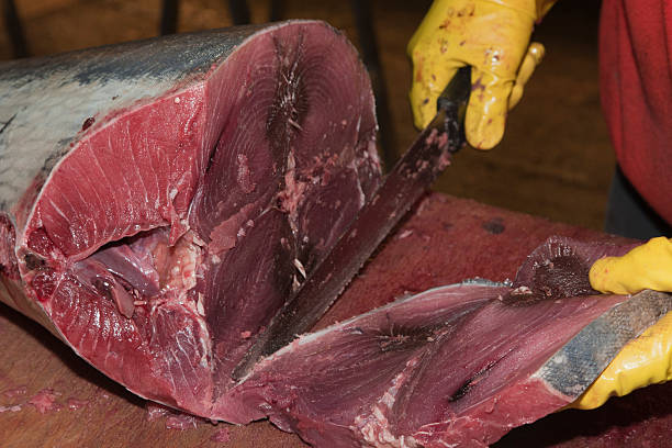 istock Cutting tuna fish slice in a market 157019726