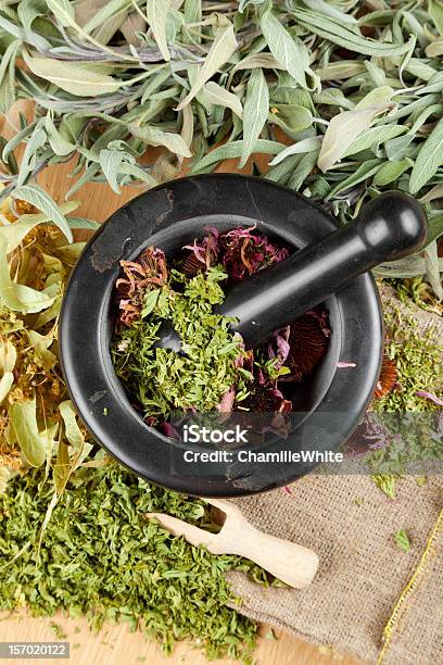 Healing Herbs On Wooden Table Mortar And Pestle Stock Photo - Download Image Now - Alternative Medicine, Bag, Coneflower