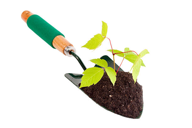 planta - gardening shovel digging flower bed - fotografias e filmes do acervo