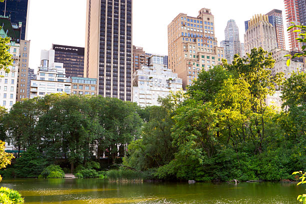 istock The Pond, Central Park, New York 157020302