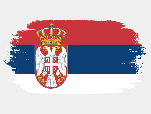 ilustrações, clipart, desenhos animados e ícones de bandeira artística do pincel grunge da sérvia isolada no fundo branco. textura elegante da bandeira nacional do país - serbian flag