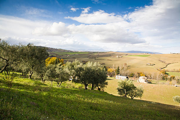 italian hills stock photo