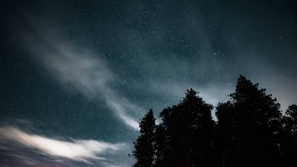 istock Tranquil night scene featuring a starry sky above lush trees. 1570236249