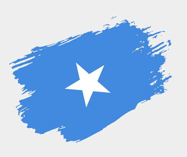 художественная гранж-кисть флага сомали изолирована на белом фоне. элегантная текстура национального флага страны - somalia flag isolated on white grunge stock illustrations