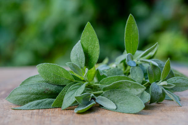 istock Fresh organic sage leaves over a wood cutting board. 1570310817