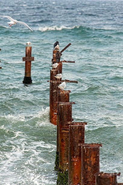 pier en el agua - foto de stock