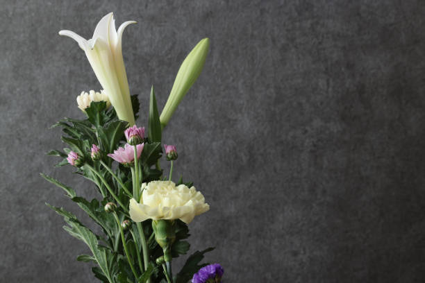 istock Various kind of flowers isolated on a gray background. 1570343223