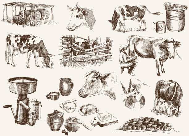 牛とミルクの製品 - 酪農点のイラスト素材／クリップアート素材／マンガ素材／アイコン素材
