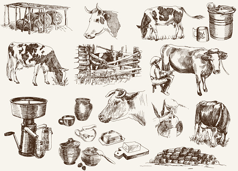 cow and milk products. set of vector elements