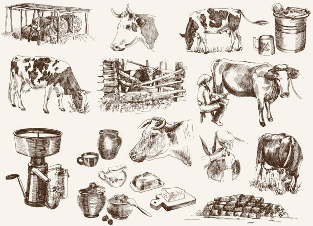 cow and milk products cow and milk products. set of vector elements cow drawings stock illustrations
