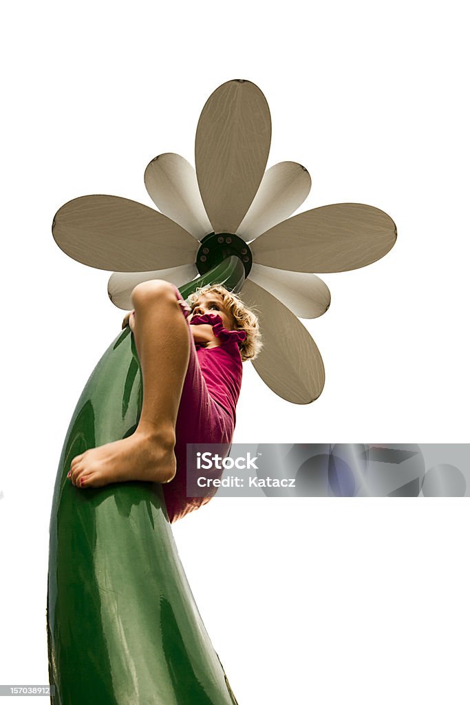 Arrampicata un fiore - Foto stock royalty-free di Aspirazione