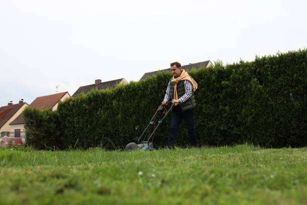 istock Mature man mows grass with a grass-cutter in his garden 1570420374
