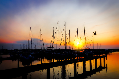 Manitowoc, Wisconsin, USA - July 10, 2023: The silhouettes of sailboat masts in the harbor.