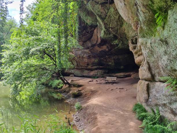 istock Summer in the Schwarzachklamm, Middle Franconia, Bayern 1570444908