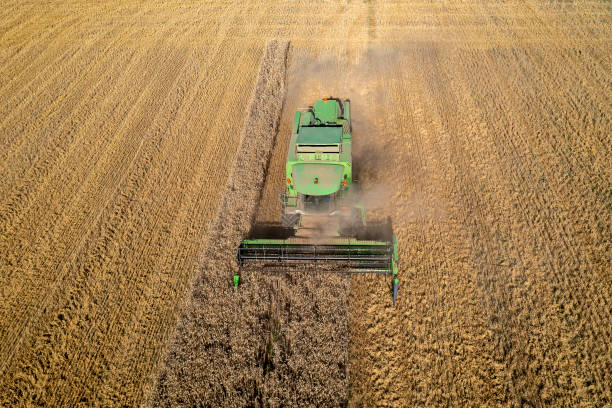 istock Front view of a combine harvester in field 1570449147