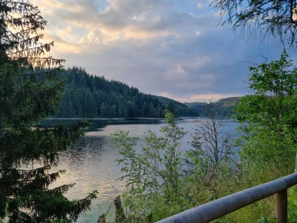istock Summer in the Franconian Forest, Bavaria 1570451292