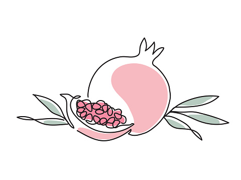 Pomegranate. Modern single line art drawing. Happy Shana tova continuous line draw design vector illustration