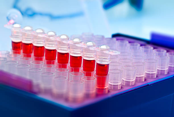 istock Tubes for amplification of DNA 157045404
