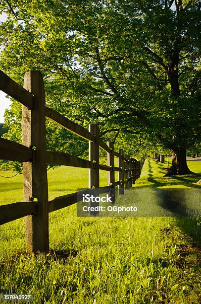 Vista De Ângulo Baixo De Uma Exploração Vedação - Fotografias de stock e mais imagens de Acima - Acima, Agricultura, Alcançar