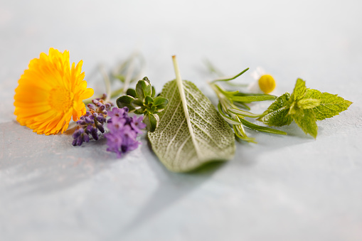 Herb collection with flower and leaves