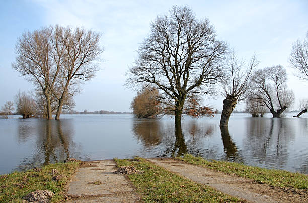冬には、川の洪水ハヴェルます。 - untere havel ストックフォトと画像