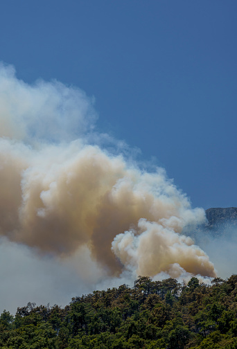 Forest fire in Kemer, near Antalya, Turkiye. Kemer is one of the most popular tourist destinations on the west coast of Antalya.