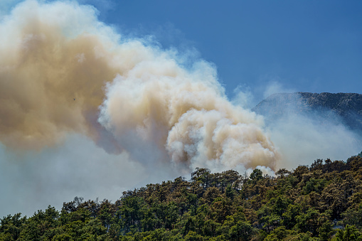 Forest fire in Kemer, near Antalya, Turkiye. Kemer is one of the most popular tourist destinations on the west coast of Antalya.