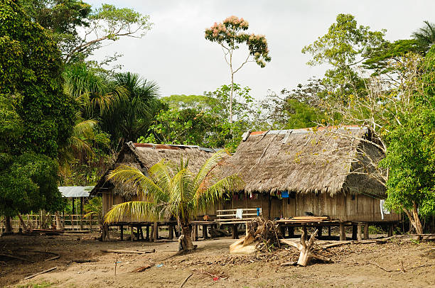 Candoshi 870+ Amazon River House Stock Photos, Pictures & Royalty-Free Images ...