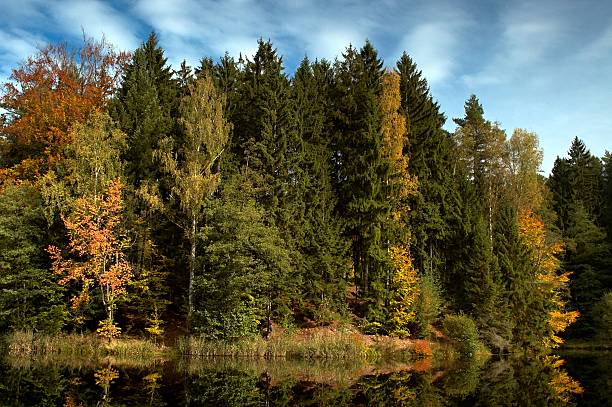 istock autumn trees by the water 157051022
