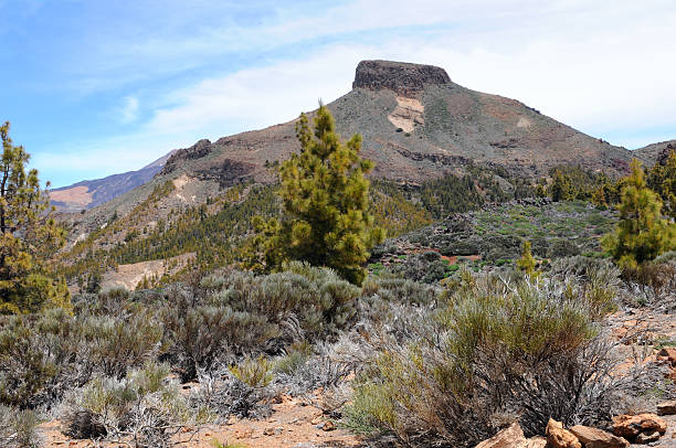 istock El Teide national park in tenerife 157053310