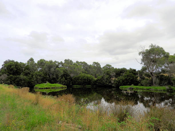 istock Inverloch,  Victoria,  Australia 1570555417