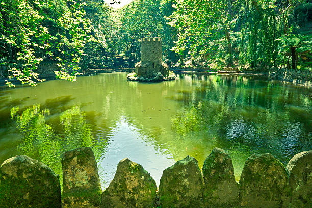 Hermoso lago oculto - foto de stock