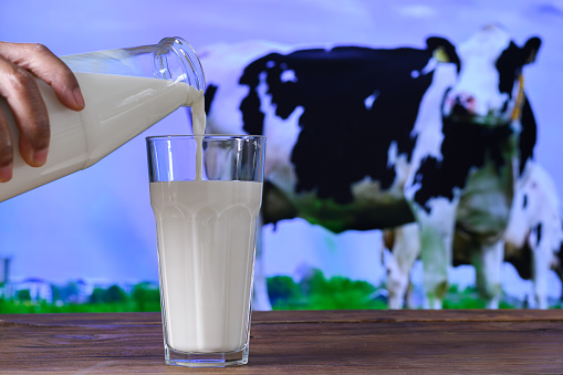 milk, hand holds a bottle and pours milk into a glass, rustic wooden table, image of a dairy cow in a pasture in the background