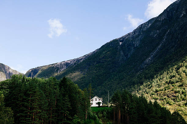istock house in the woods 157067244