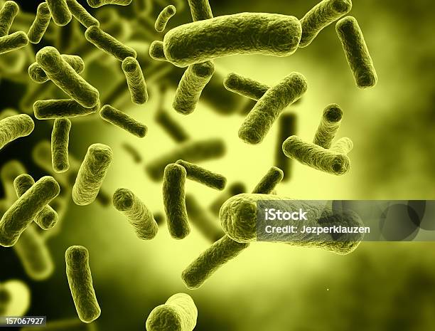 Photo libre de droit de Cellules De Bactéries Avec Mise Au Point Sélective banque d'images et plus d'images libres de droit de Bacillus Subtilis - Bacillus Subtilis, Bactérie, Cellule