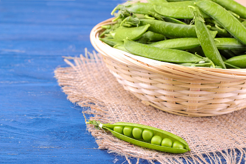 Fresh, green peas in a pod in a large wicker basket on a blue wooden background.