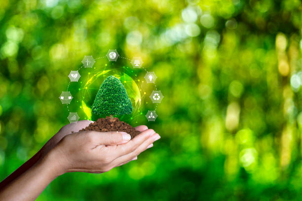 istock Net zero 2050 ESG concept, Hand with green world, wind energy system icon on blurred green leaf background. wind energy for green environment. Businessman background with energy icons around. 1570717405