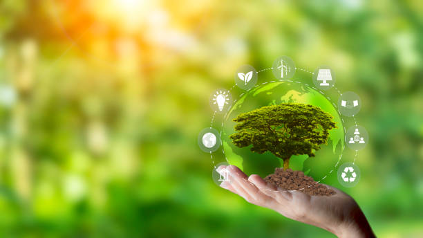 istock Planting trees with the hands for environmentally friendly, eco earth day , friendly energy, Net zero 2050 ESG eco concept and wind eco green energy system icon around on green background. 1570721992