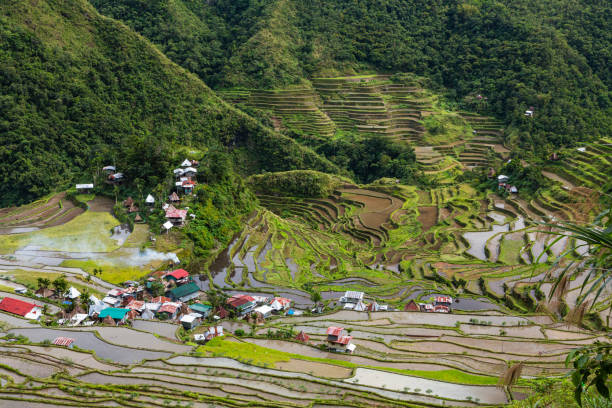 istock Rice Terraces and settlements in Batad, Cordillera, Philippines 1570732872