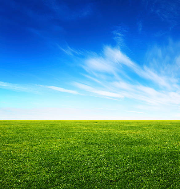 Image Of Green Grass Field And Bright Blue Sky Stock Photo - Download Image  Now - Grass, Sky, Blue - iStock