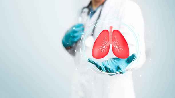 istock Doctor holding digital virtual human lungs for diagnostics on surgeon hand with copy space white background. Medical healthcare and organ surgery operation concept. 1570736730
