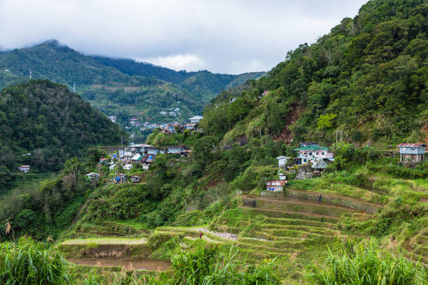 paesaggio e paesaggio urbano di banaue, filippine - ifugao foto e immagini stock