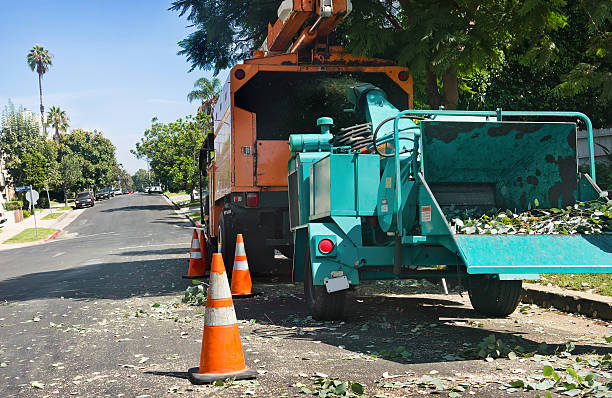 istock Wood Chipper Grinds Away 157075622