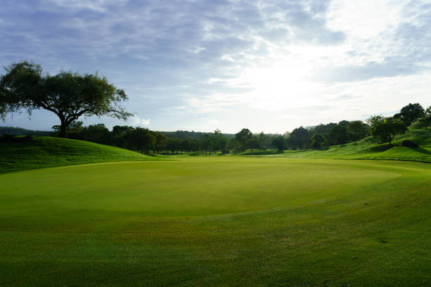 istock Golf green in the morning sun backlit against cloudy sky 1570760227