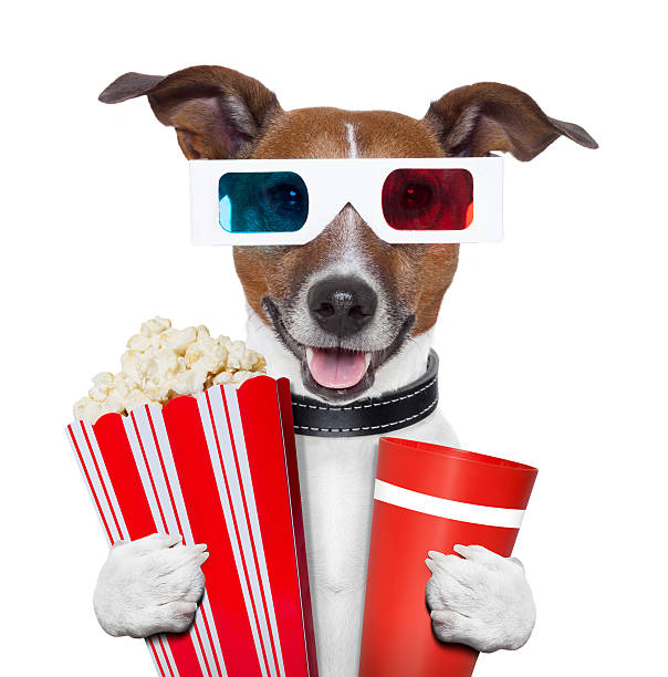 3d glasses movie popcorn dog stock photo